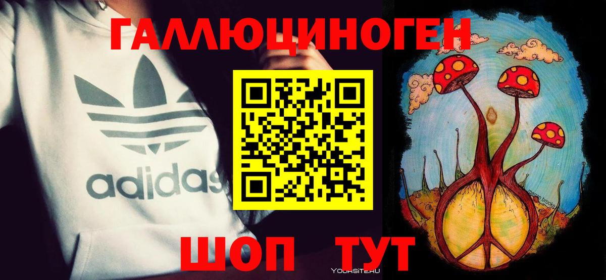 даркнет сайт  Вход с VPN  Коммунар  Галлюциногенные грибы Psilocybe 