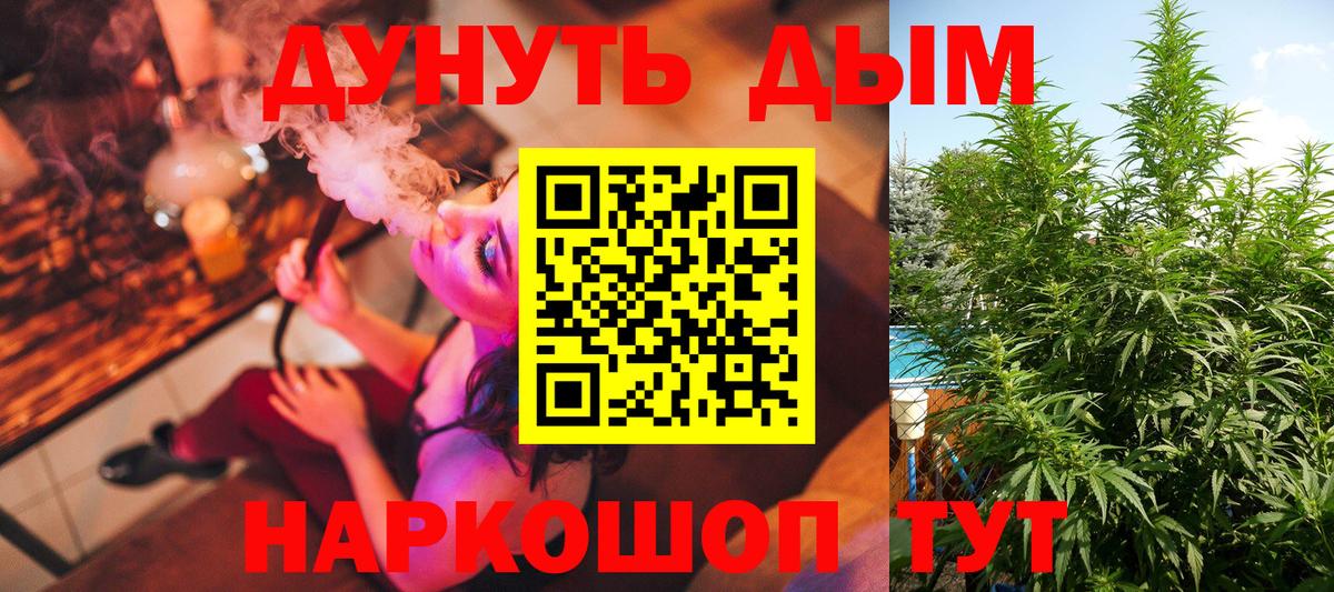 Канабис SATIVA & INDICA  Бошки Шишки семена  Коммунар  МАРИХУАНА LSD WEED  Вход с VPN  Марихуана конопля 
